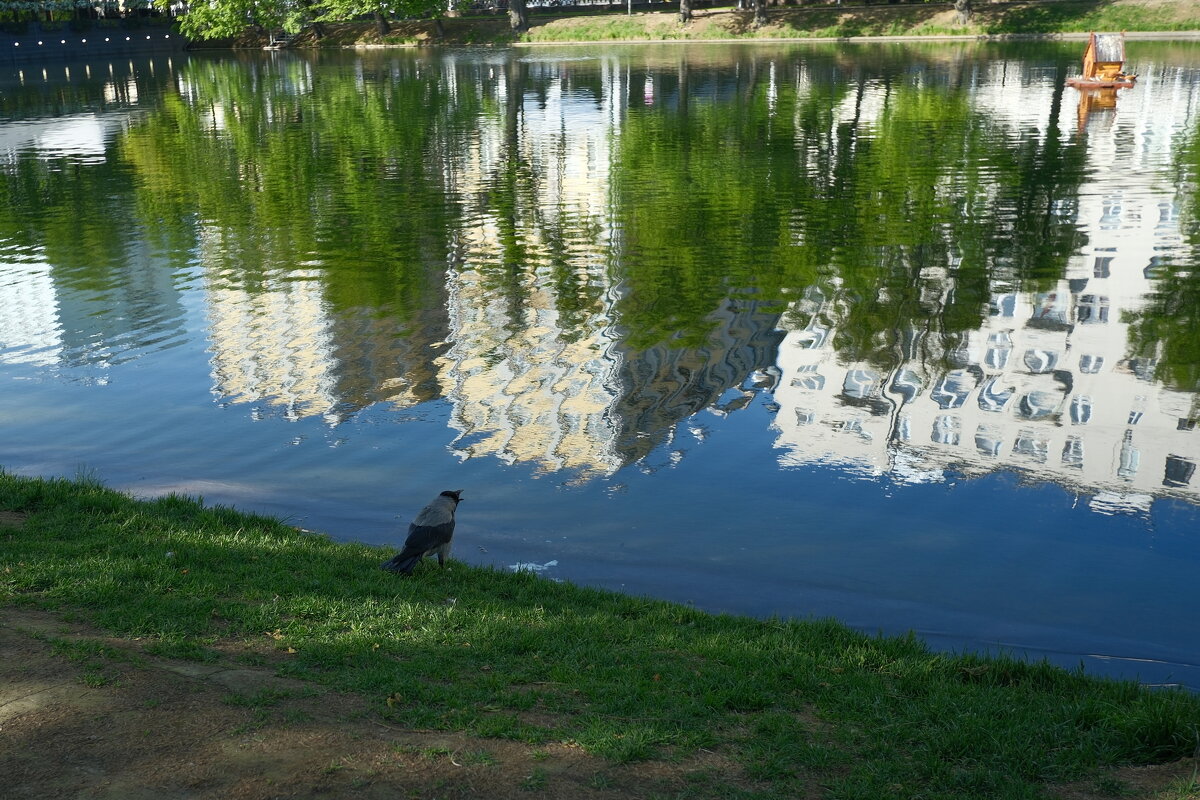 На уток ругается. - Лютый Дровосек На уток ругается. - Лютый Дровосек