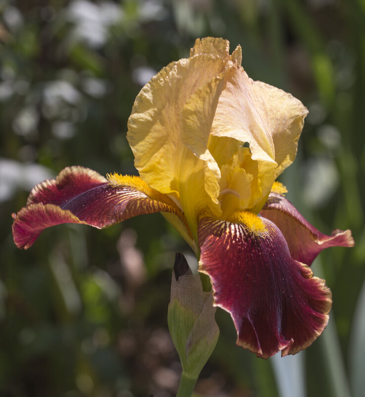 Немного красок в ленту... - Светлана Тихонина Немного красок в ленту... - Светлана Тихонина