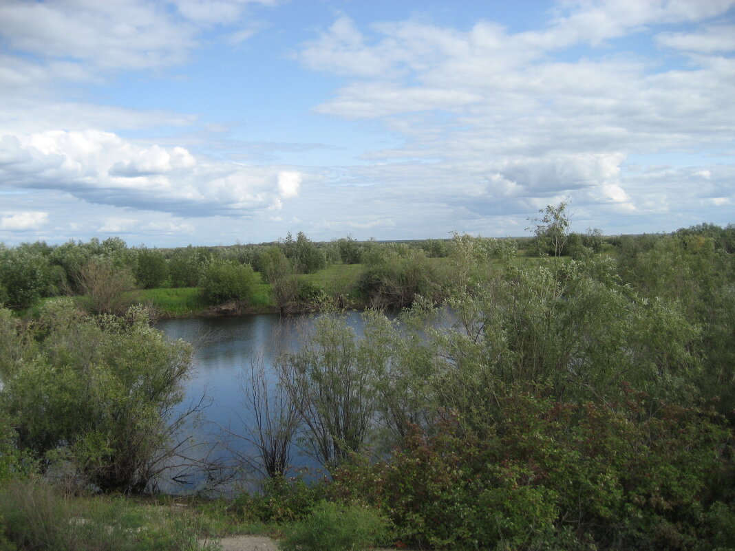 Вид с дамбы - Anna Ivanova Вид с дамбы - Anna Ivanova