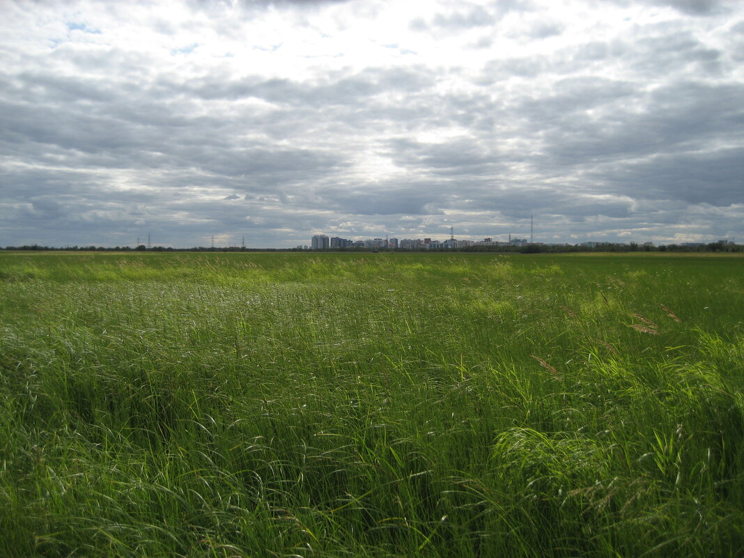 Вид с острова на город - Anna Ivanova