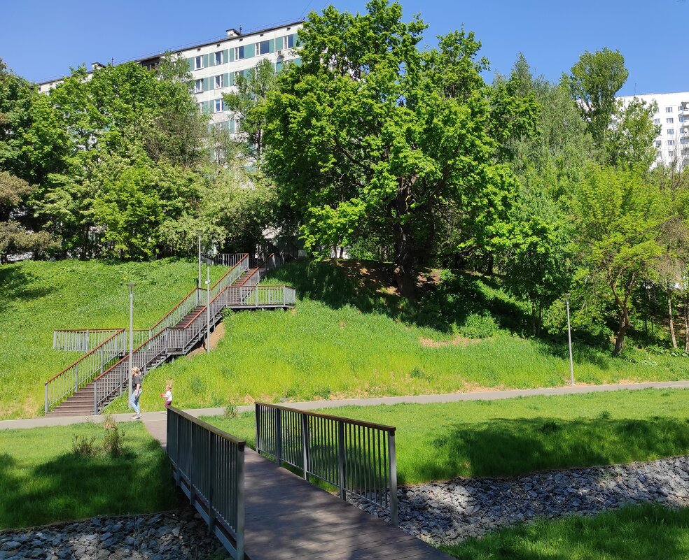 Утро в парке - Игорь Ч. Утро в парке - Игорь Ч.