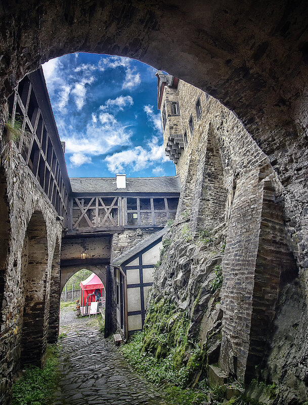 Замок Бюрресхайм - Андроник Александр 