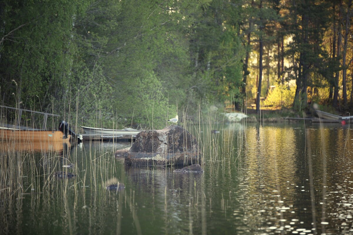 Про целостность и детали мира вокруг Вэллена - liudmila drake Про целостность и детали мира вокруг Вэллена - liudmila drake