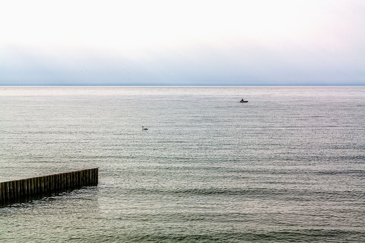 Балтика - Дмитрий 