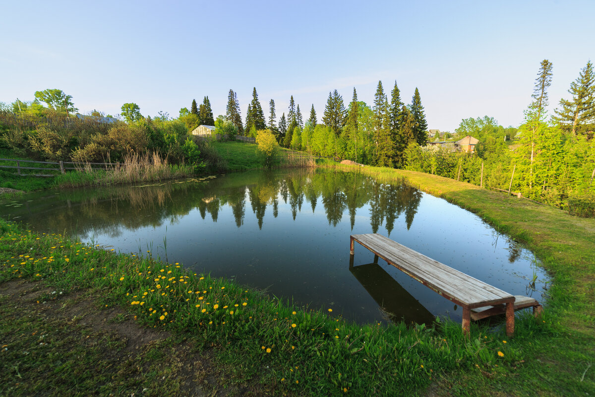 Рыбий частный двор - Сергей Винтовкин