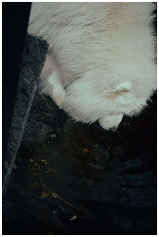 *** - someone somewere