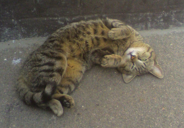 Старое фото... - Наталья 