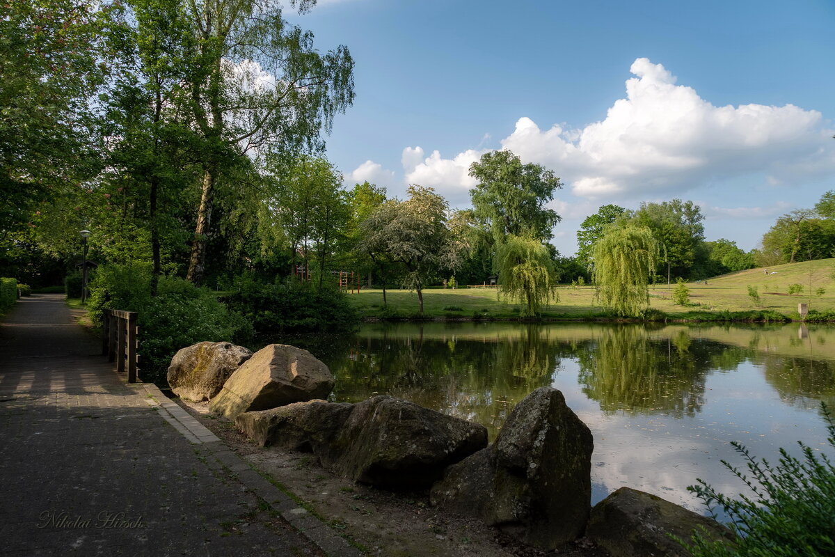 Пруд, в парке... - Николай Гирш