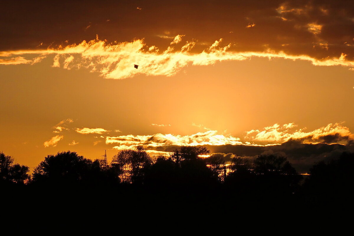 Солнце скрылось и мне пора домой ... - Владимир Шошин Солнце скрылось и мне пора домой ... - Владимир Шошин