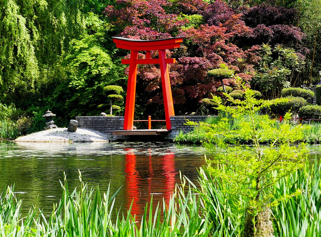 Сады у замка Арсен(серия) - Владимир Манкер Сады у замка Арсен(серия) - Владимир Манкер