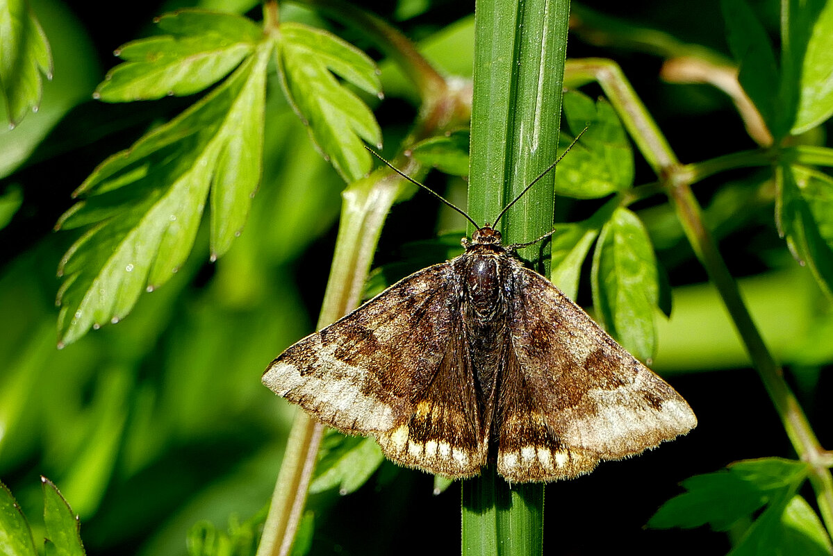 из позавчерашней съемки 2 - Александр Прокудин из позавчерашней съемки 2 - Александр Прокудин