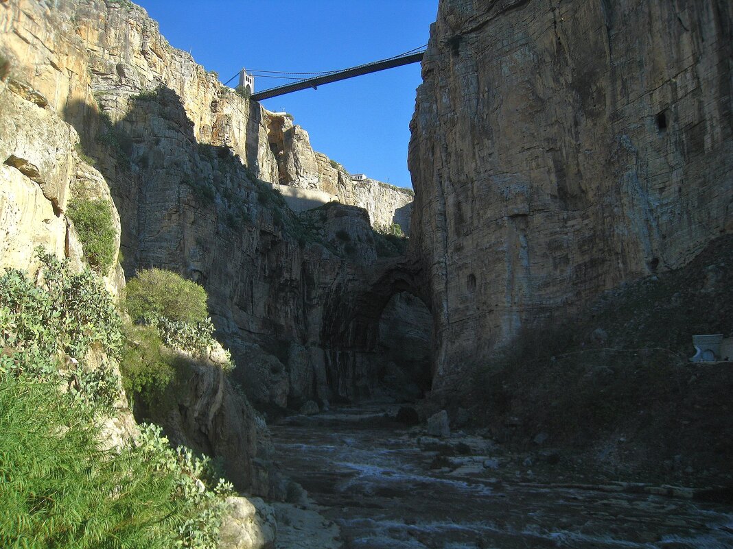 Ущелье Румель в городе Константина, Алжир. - unix (Илья Утропов) Ущелье Румель в городе Константина, Алжир. - unix (Илья Утропов)