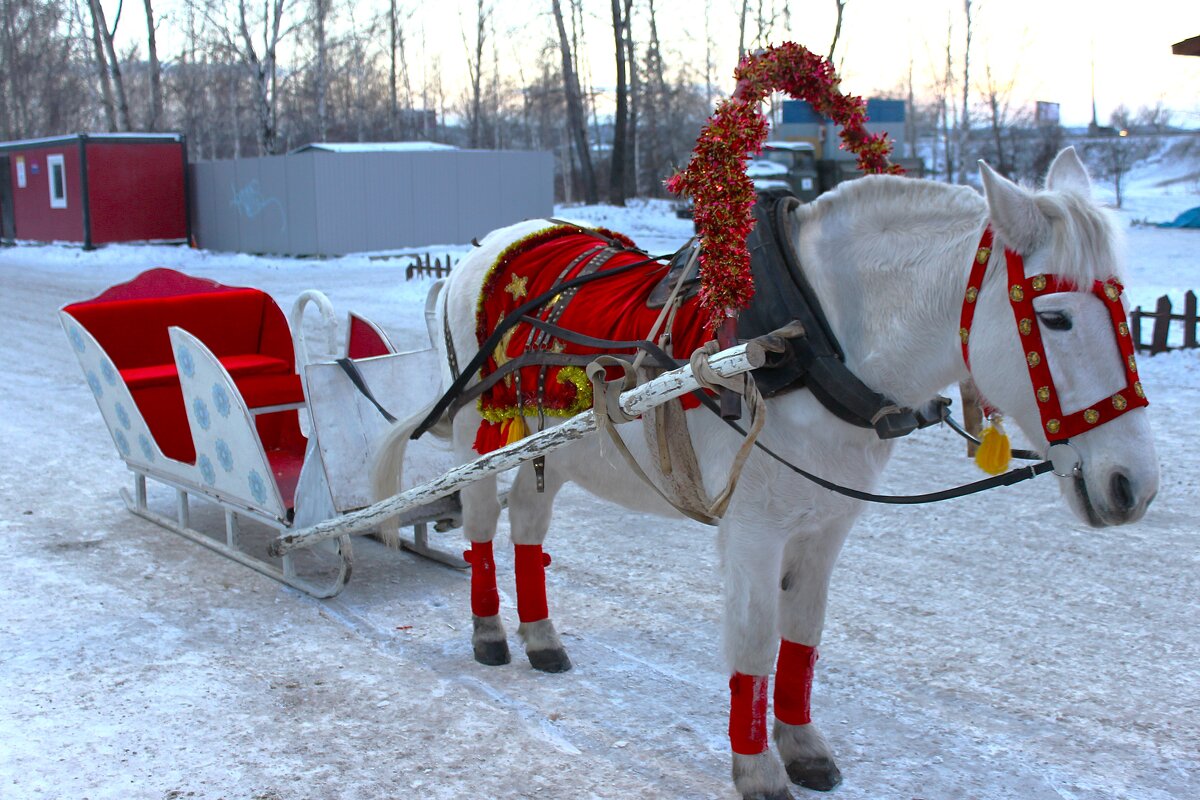 Сани поданы.. - Василий Сани поданы.. - Василий