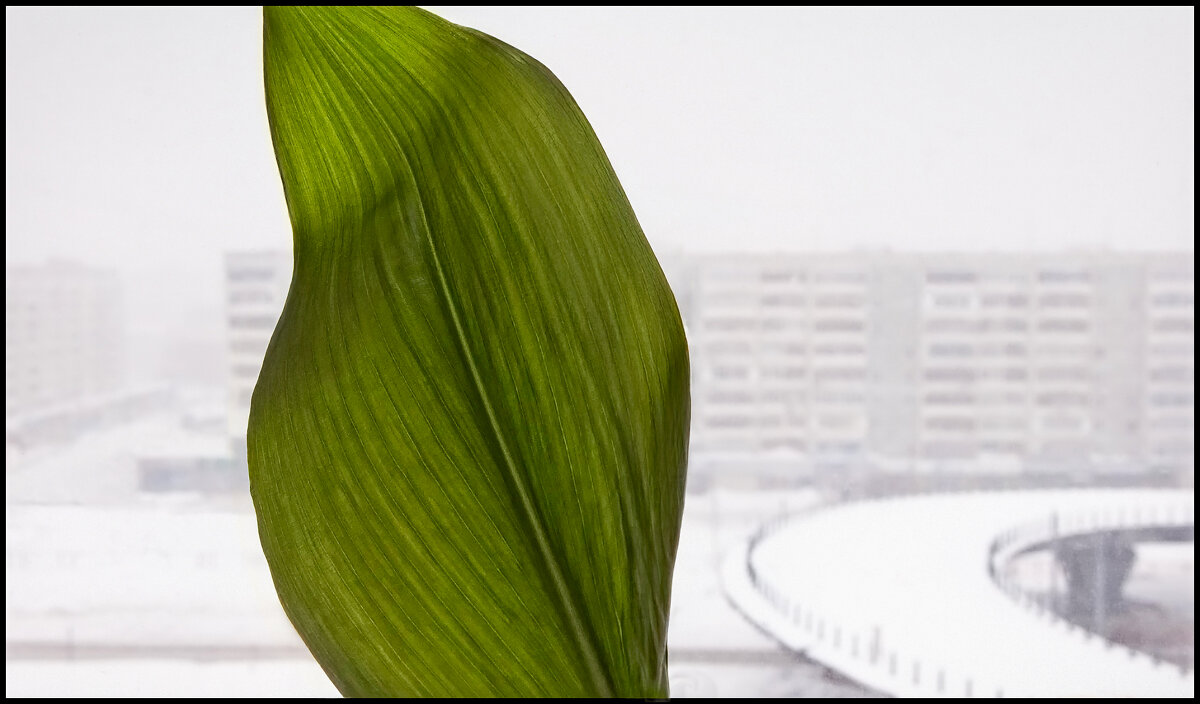 Зима - **** vedin