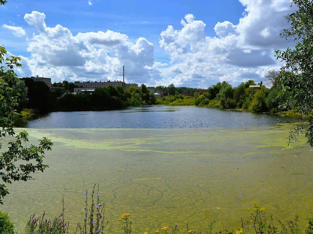 Чебоксары. Пруд на реке Кукшум. - Пётр Чернега Чебоксары. Пруд на реке Кукшум. - Пётр Чернега