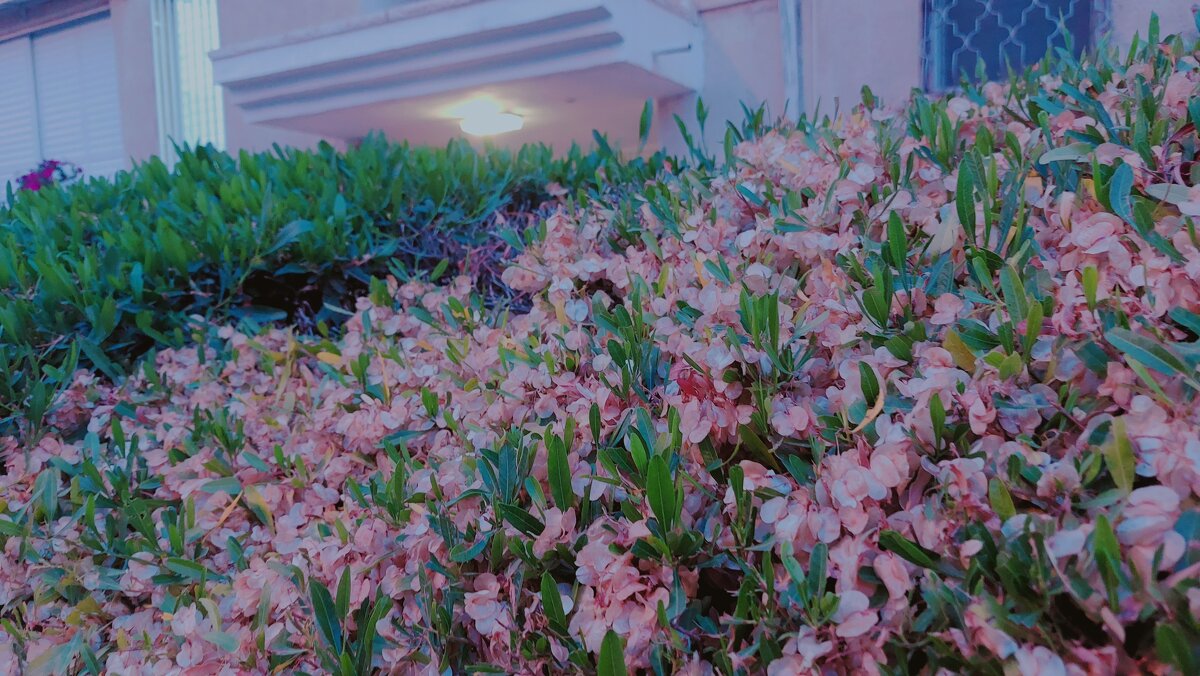 13  ОПЕН (53) - OPEN WAYS ALL