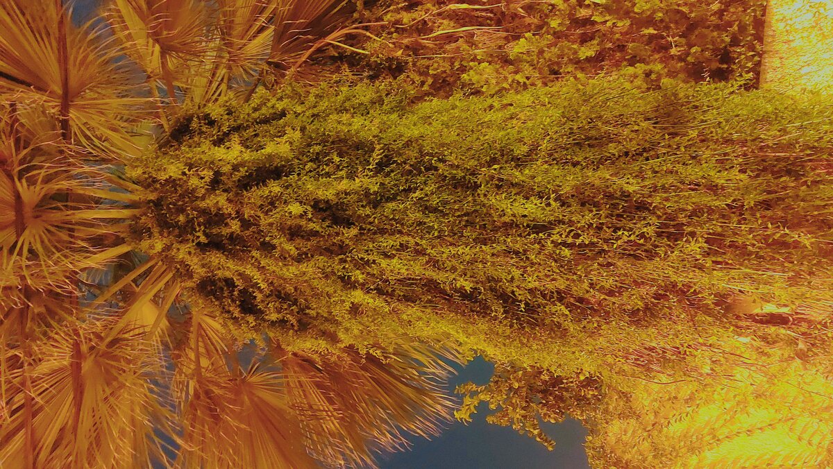 13  ОПЕН (56) - OPEN WAYS ALL