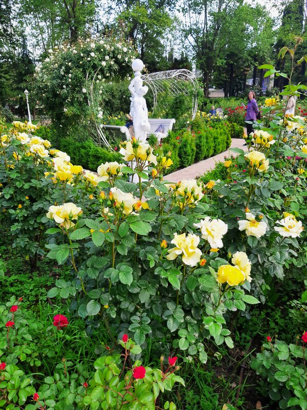 РИВЬЕРА - Tata Wolf