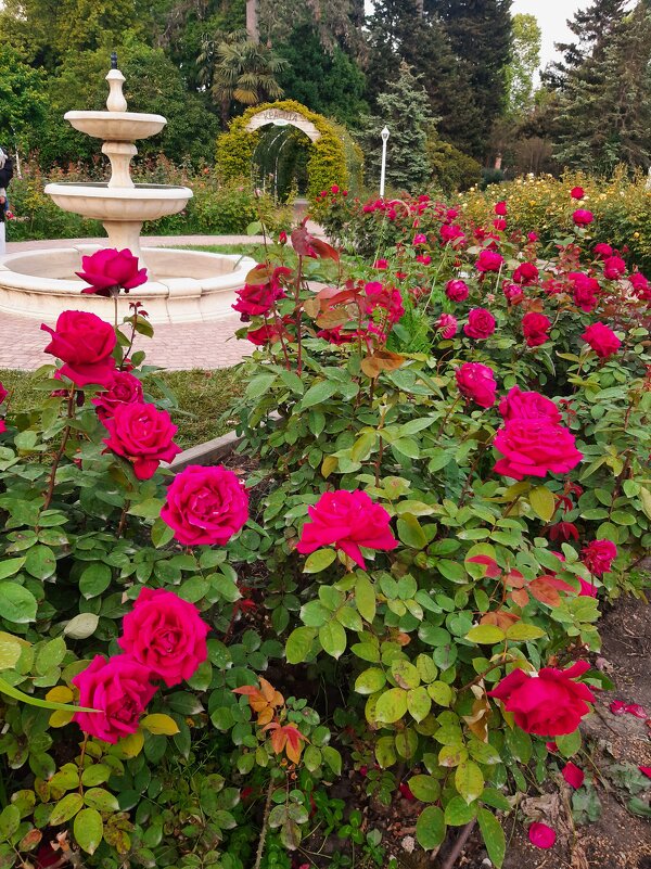 РИВЬЕРА - Tata Wolf РИВЬЕРА - Tata Wolf