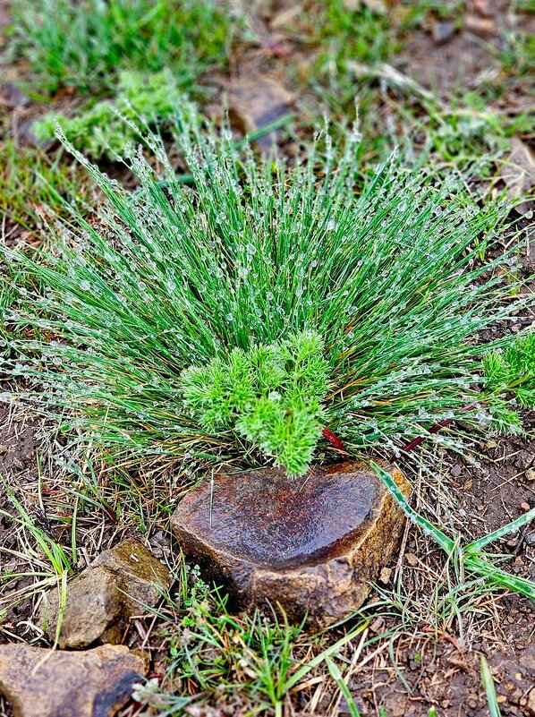 Армения. Озеро Севан. Полуостров Севан. - Михаил Свиденцов