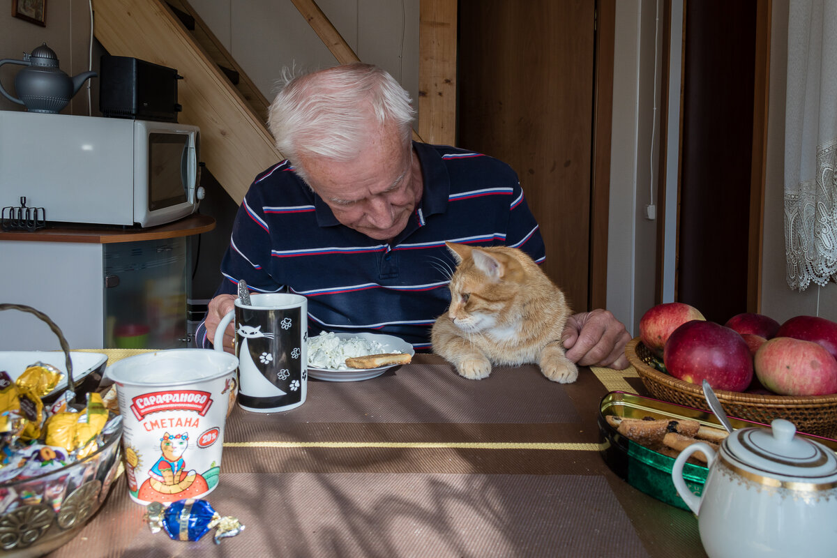 "Мы с приятелем вдвоем замечательно живем ..." (С. Михалков) - Игорь Викторов "Мы с приятелем вдвоем замечательно живем ..." (С. Михалков) - Игорь Викторов