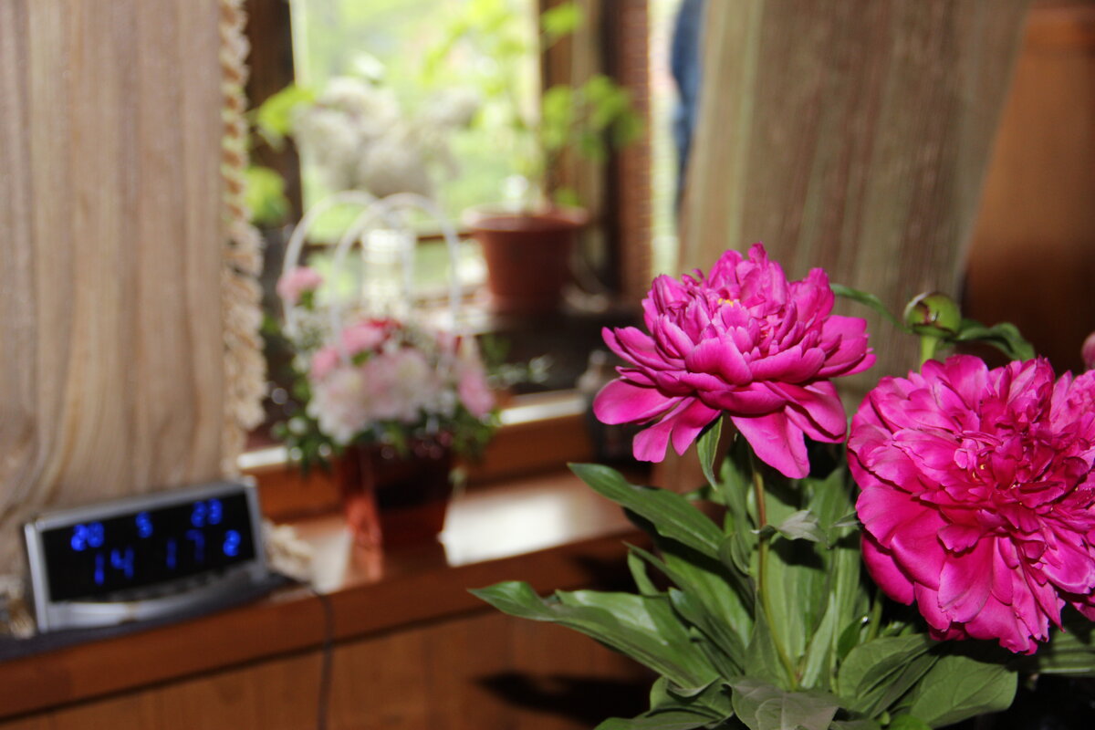 Май. - Венера Чуйкова