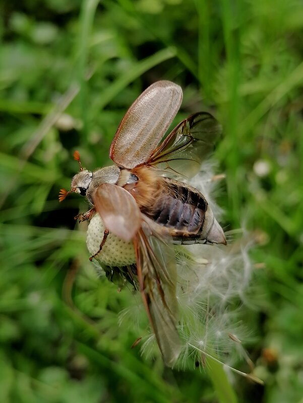 ** - Зоя Мишина ** - Зоя Мишина