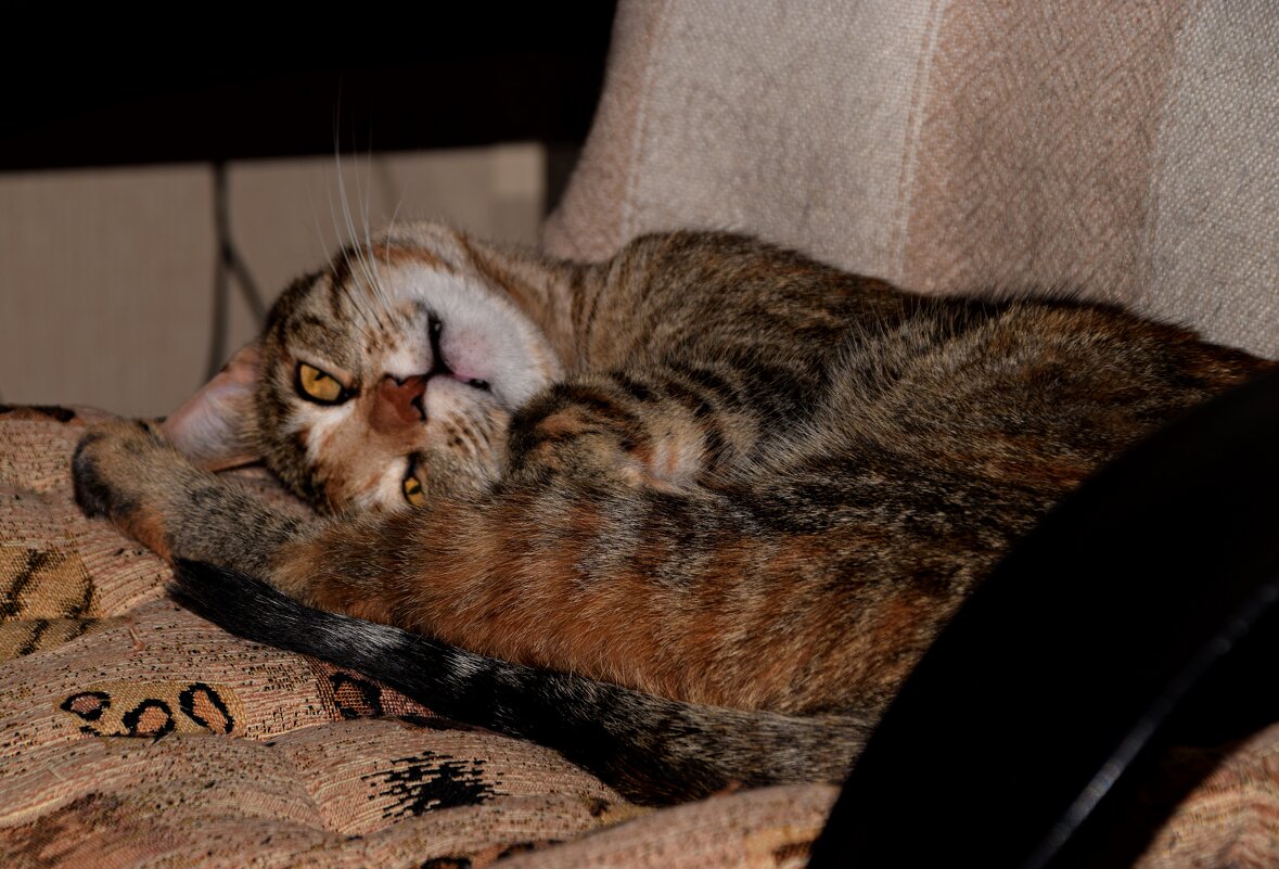 Зоська - Павленко Михаил 