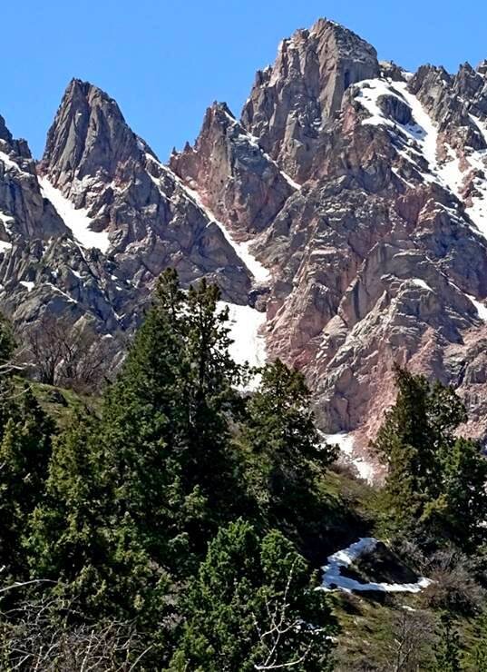 ПО ВЕРХАМ. - Виктор Осипчук