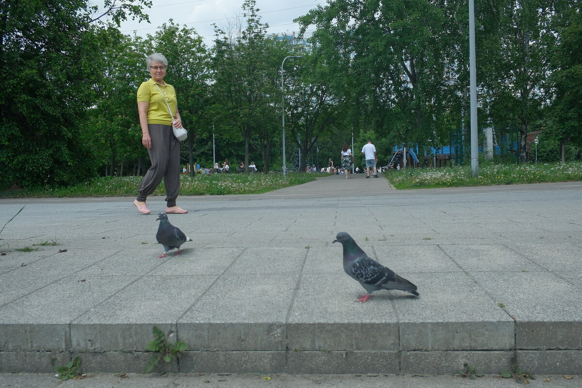 Голубки. - Лютый Дровосек
