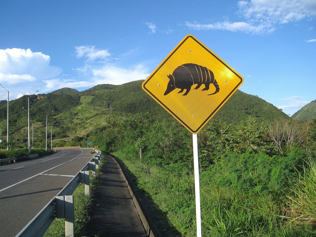 Колумбийский дорожный знак. - unix (Илья Утропов)