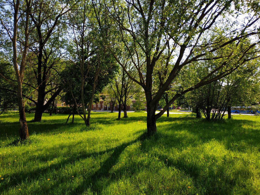 Самый теплый день в этом году - Андрей Лукьянов Самый теплый день в этом году - Андрей Лукьянов