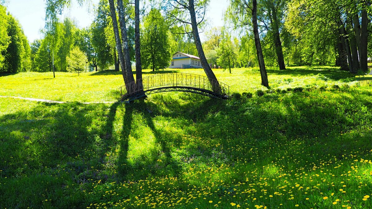 Ажурный мостик (репортаж из поездок по области) - Милешкин Владимир Алексеевич 