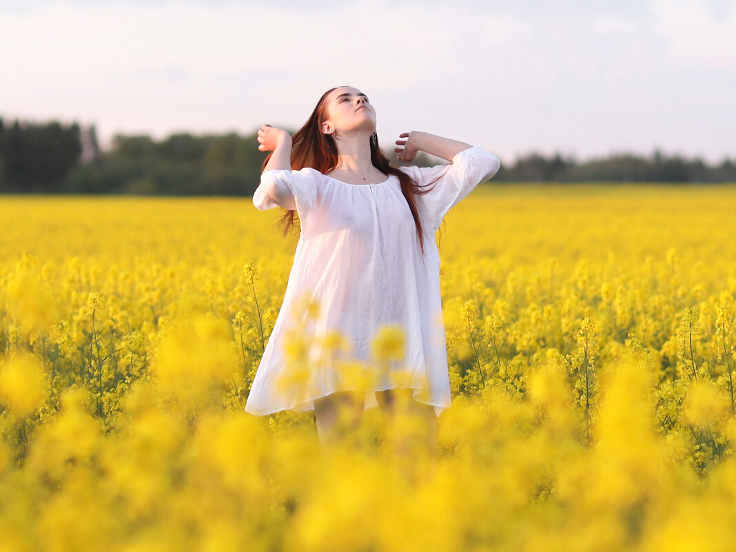 Жёлтое и белое (1) - Игорь Парв Жёлтое и белое (1) - Игорь Парв