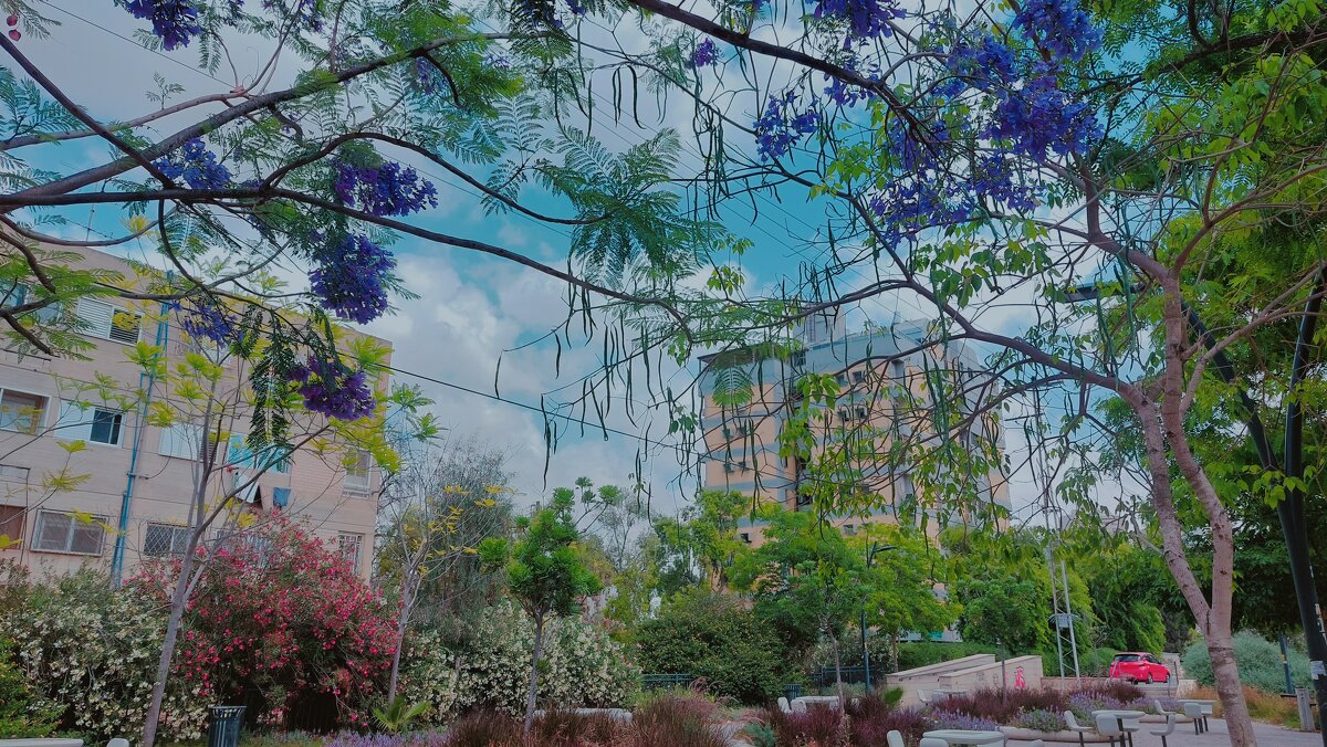 13  ОПЕН (61) - OPEN WAYS ALL