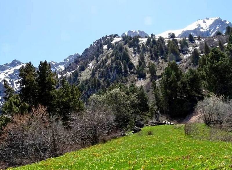 ПО ГОРАМ. - Виктор Осипчук ПО ГОРАМ. - Виктор Осипчук