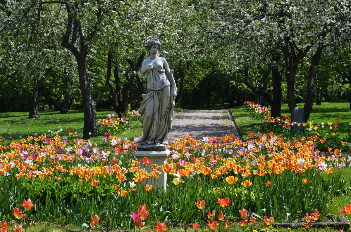 Москва. Парк Коломенское. - Наташа *****