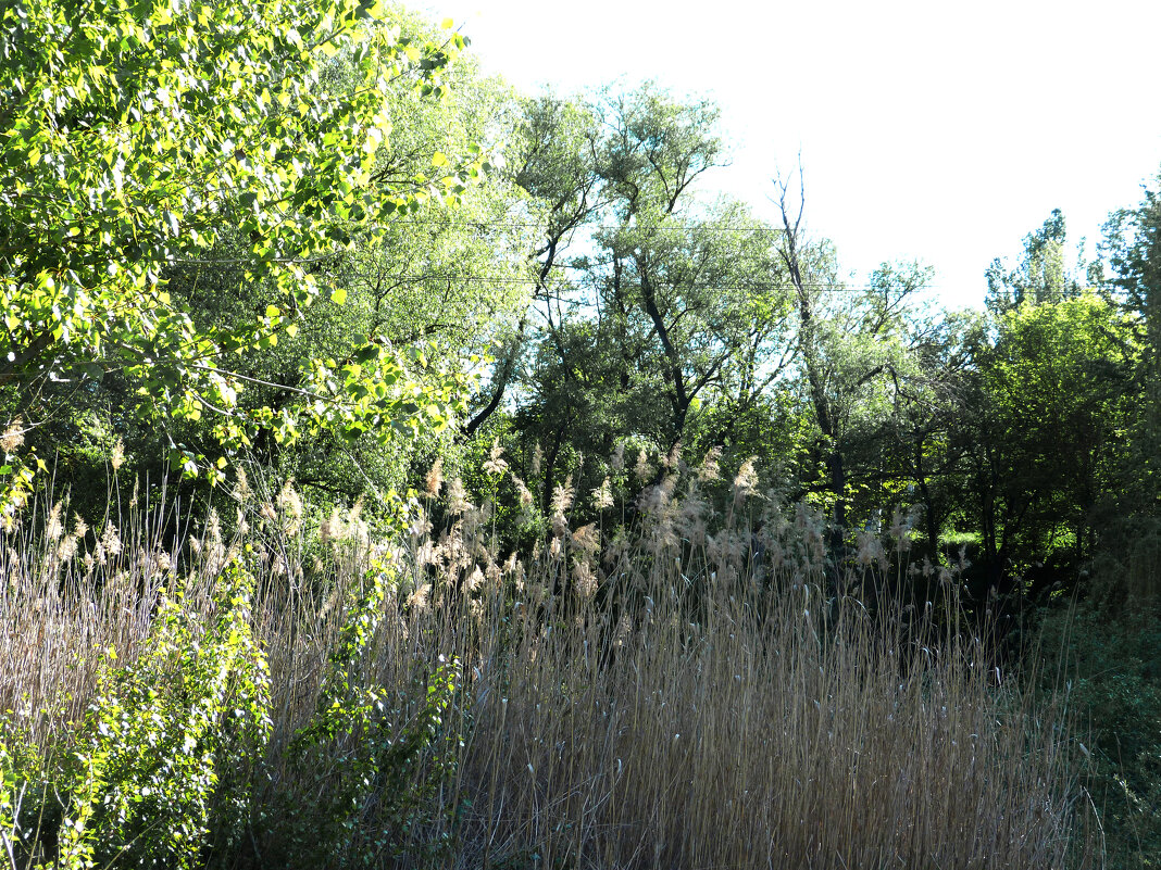 Природа Крыма - Валентин Семчишин Природа Крыма - Валентин Семчишин