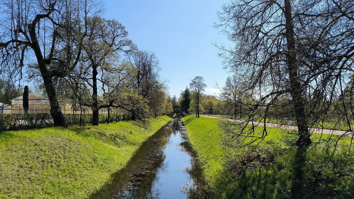 В Александровском парке. - Ольга В Александровском парке. - Ольга