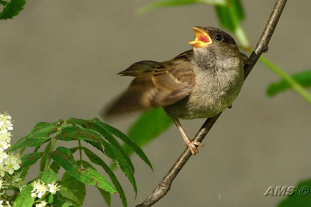 !!!! - kolyeretka !!!! - kolyeretka