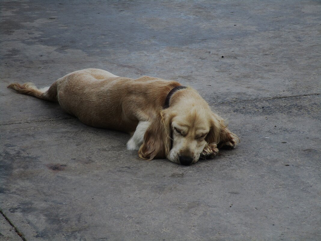 Мармарис  июнь  Турция - Елена Шаламова