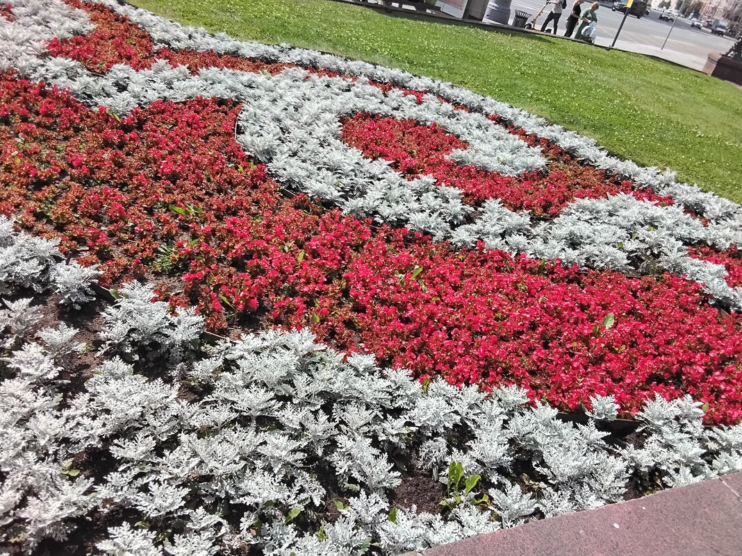 Цветник на Театральной - Дмитрий Никитин Цветник на Театральной - Дмитрий Никитин