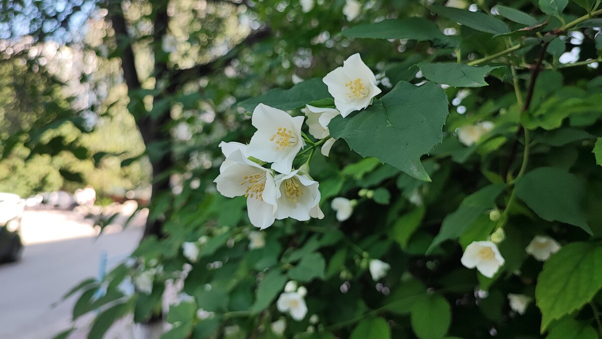 ,,, - Сергей Тимоновский
