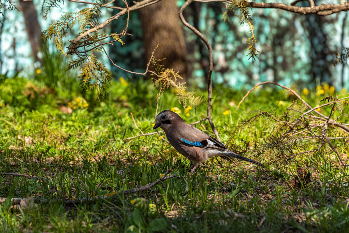 *** - Дмитрий Лупандин *** - Дмитрий Лупандин