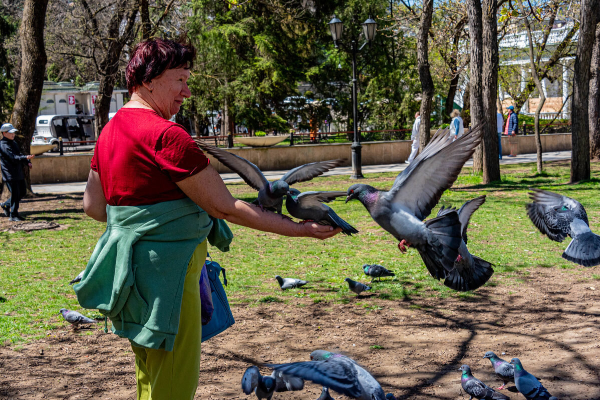 *** - Дмитрий Лупандин