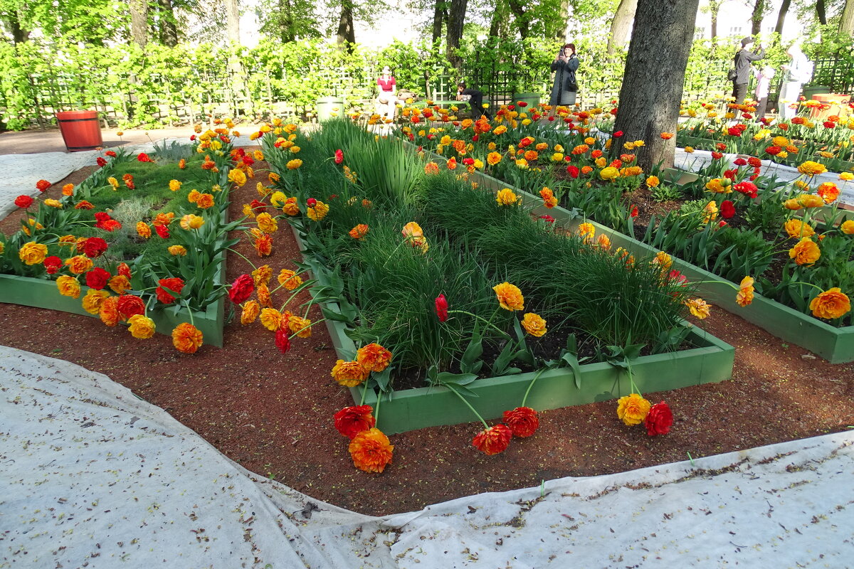 Огород Летнего сада - Anna-Sabina Anna-Sabina Огород Летнего сада - Anna-Sabina Anna-Sabina