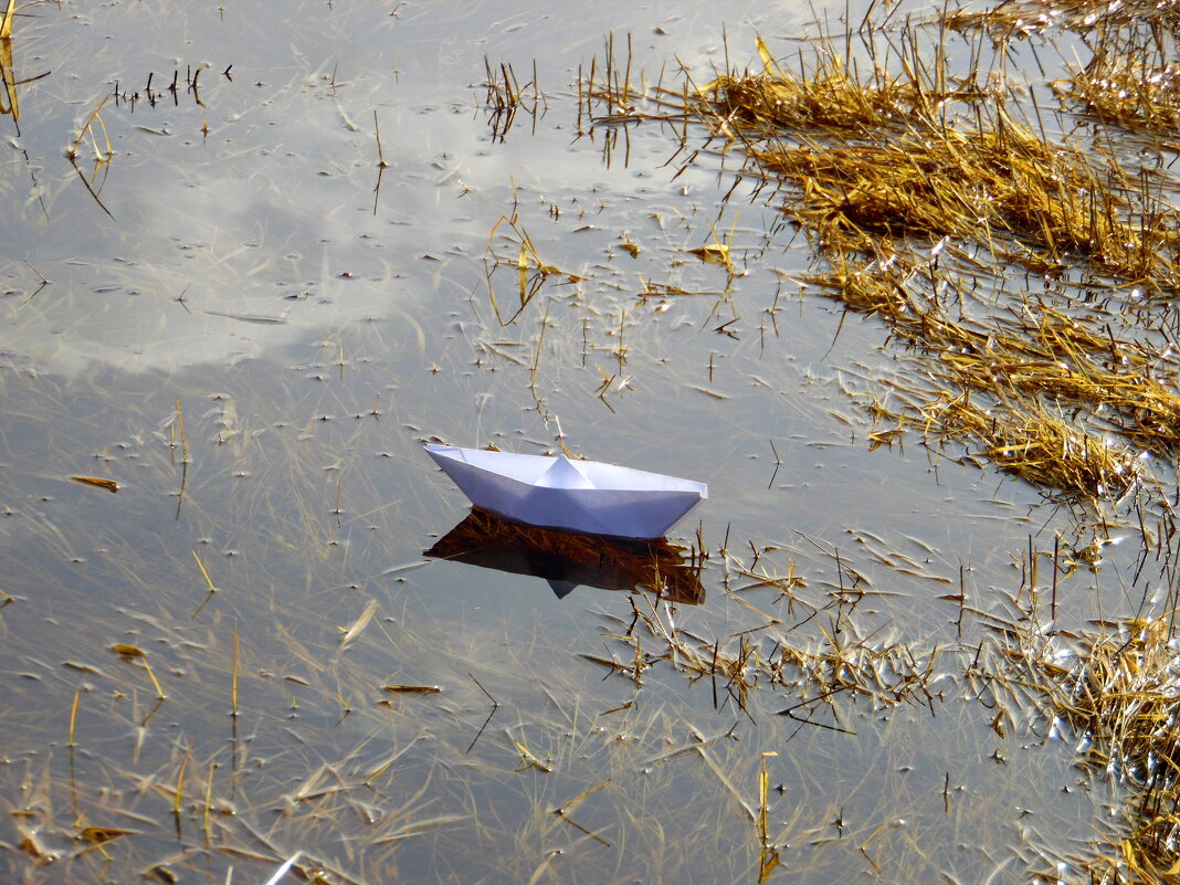 Большому кораблю-большое плаванье ! - nadyasilyuk Вознюк Большому кораблю-большое плаванье ! - nadyasilyuk Вознюк