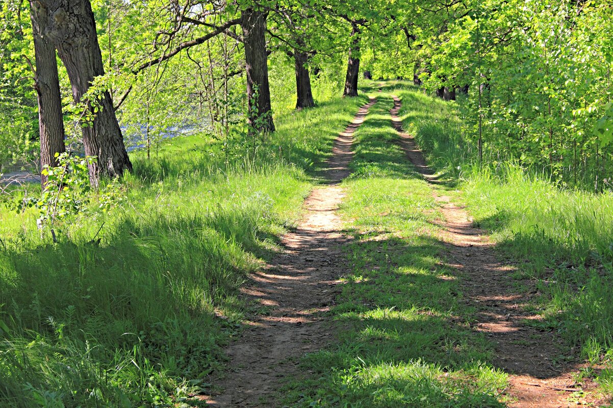 Дорожка - Евгений Корьевщиков