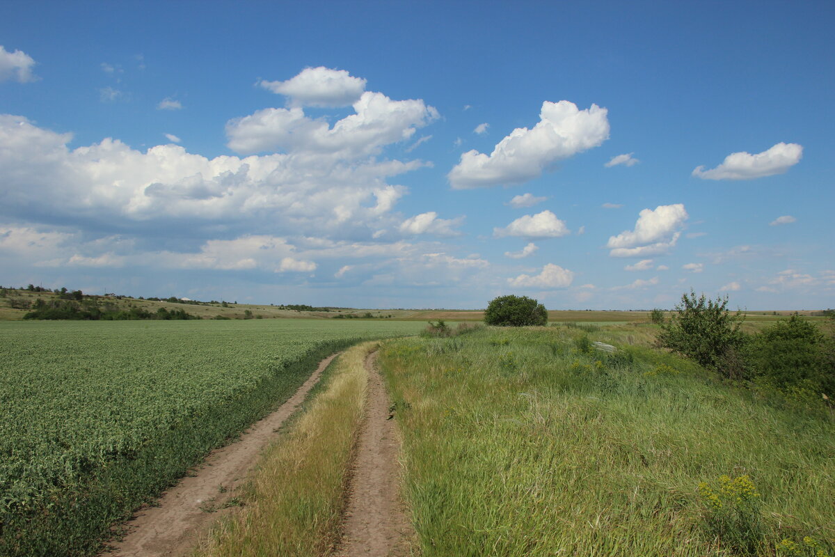 Мои дороги. - Виктор 