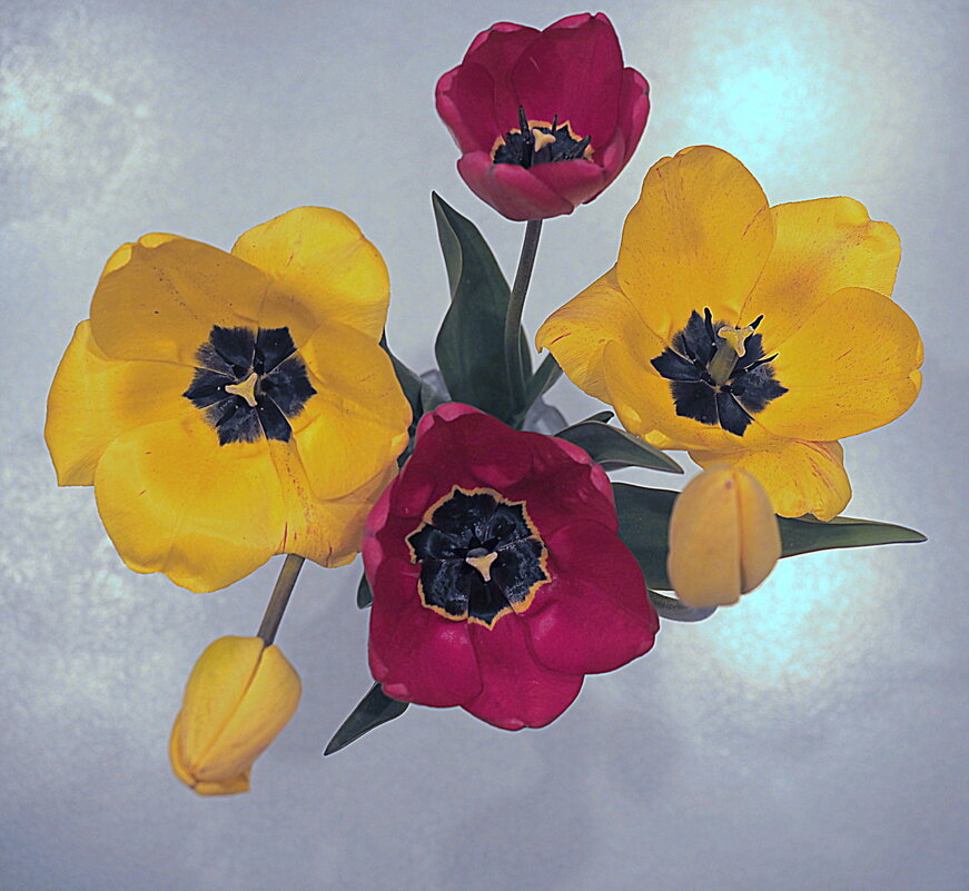 Тюльпаны мая-1 - Юрий Велицкий